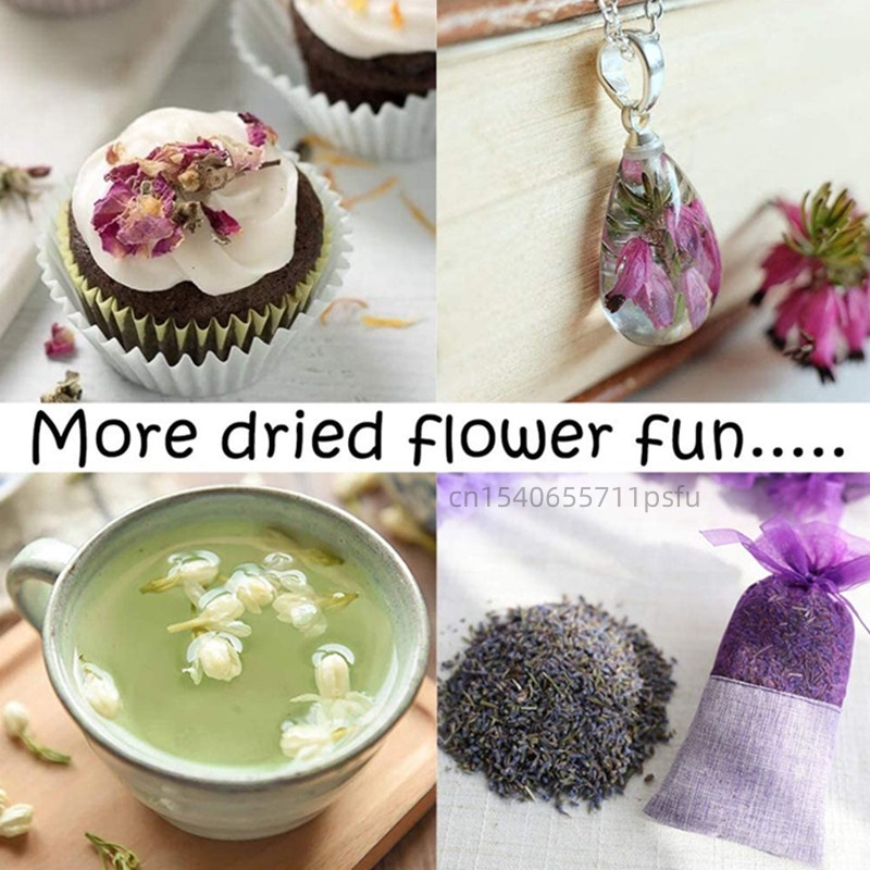 High-quality Natural Jasmine D - Baby Products Decoration 评论和价格